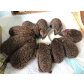 Looki_Igel