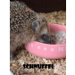 Schnuffel